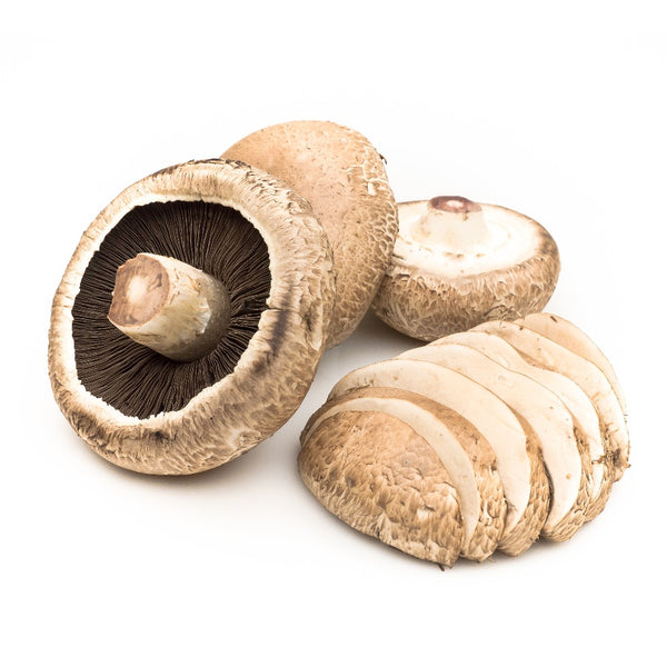 Champiñon portobello