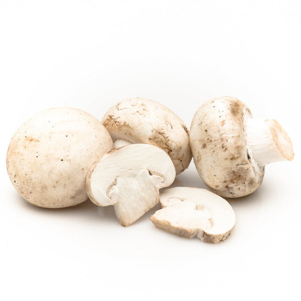 Champiñón Blanco en Pomario. Setas especiales