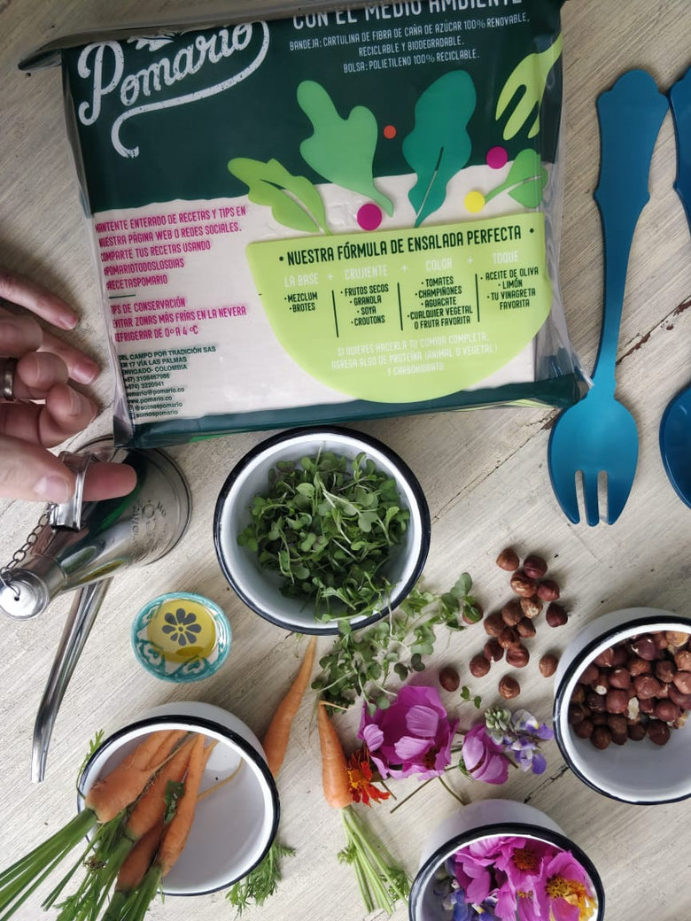 Ensaladas con Hortalizas