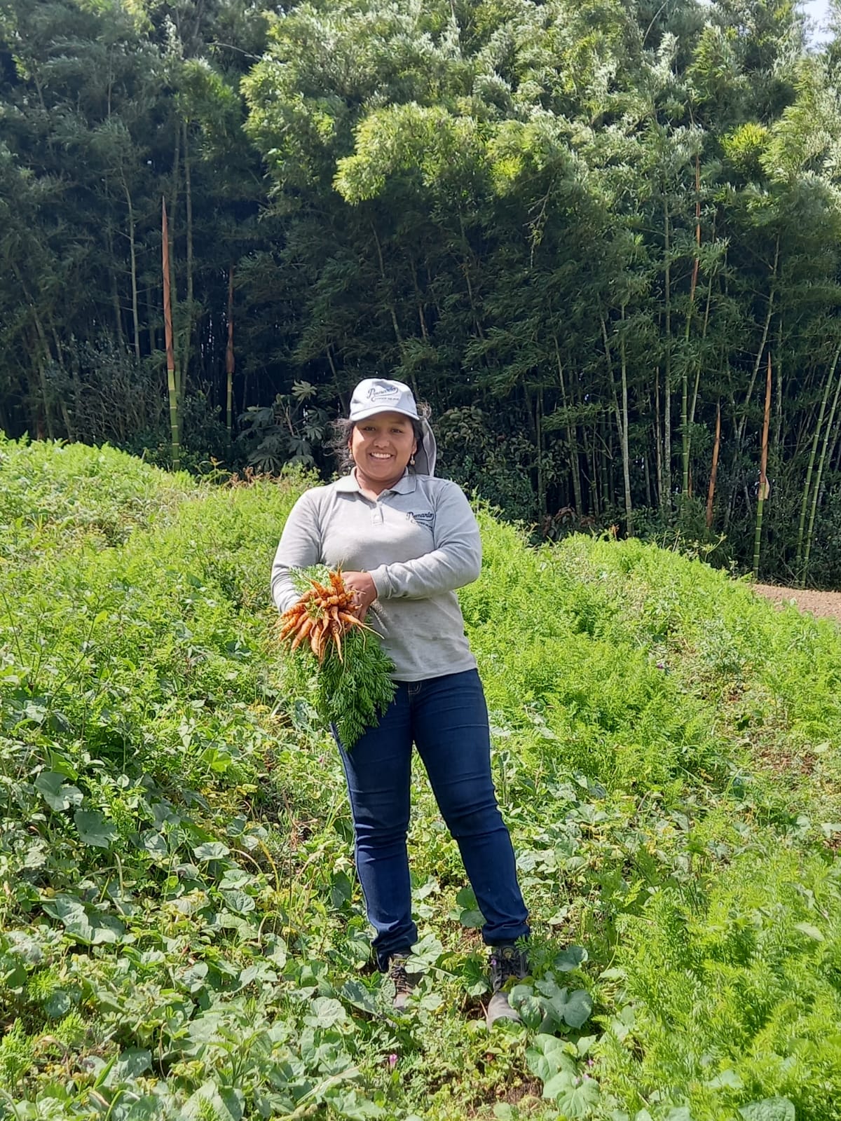 Campo Colombiano