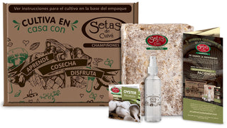 Kit de Cultivo de Setas Lo encuentras en Pomario
